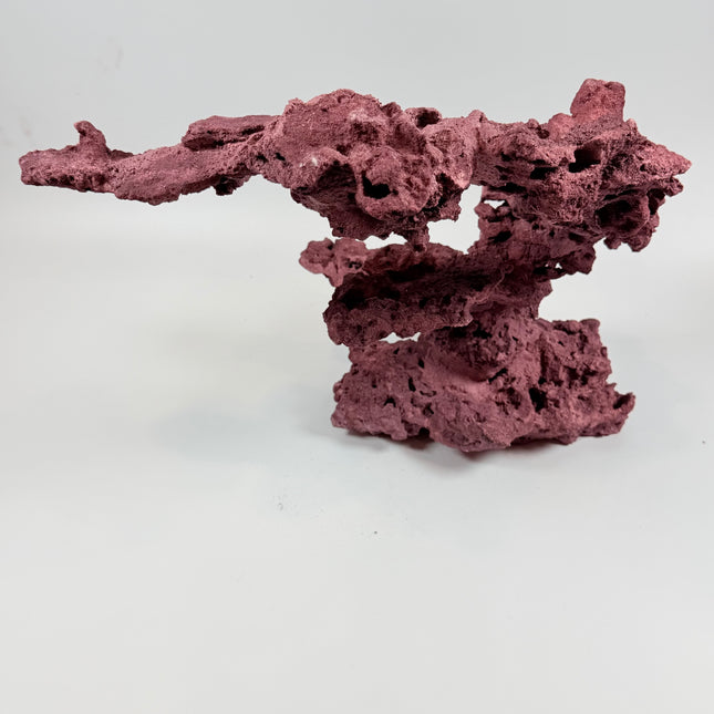 WYSIWYG Coraline Reef Rock #20