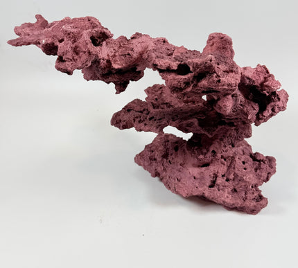 WYSIWYG Coraline Reef Rock #20