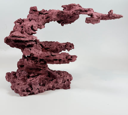 WYSIWYG Coraline Reef Rock #20