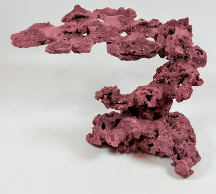 WYSIWYG Coraline Reef Rock #21