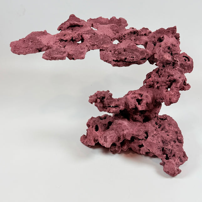 WYSIWYG Coraline Reef Rock #21