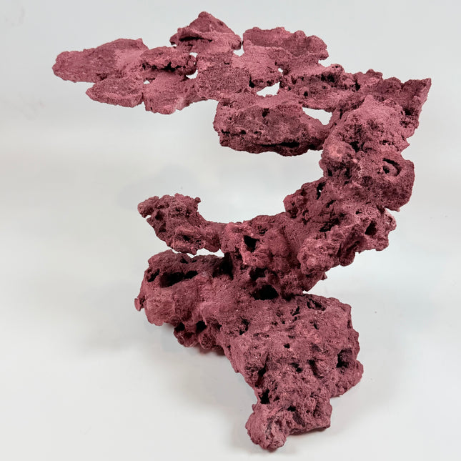 WYSIWYG Coraline Reef Rock #21