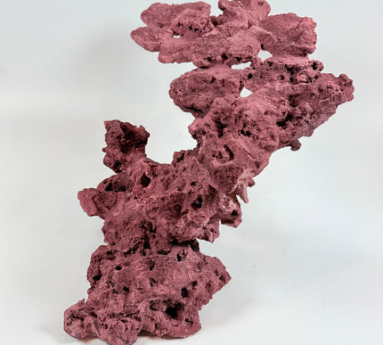 WYSIWYG Coraline Reef Rock #21