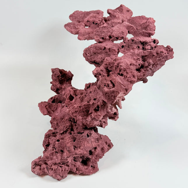 WYSIWYG Coraline Reef Rock #21