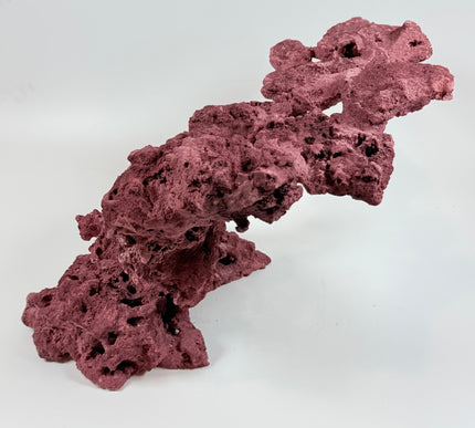 WYSIWYG Coraline Reef Rock #21