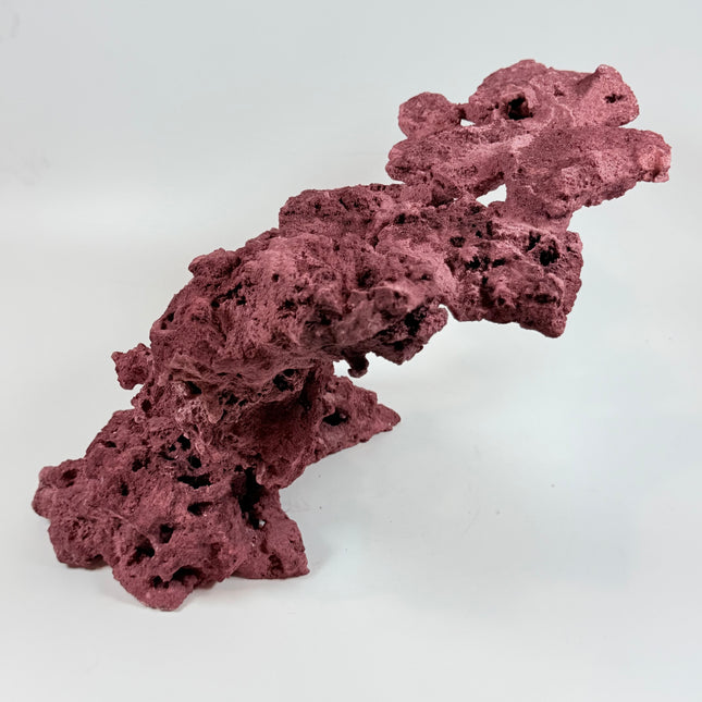 WYSIWYG Coraline Reef Rock #21