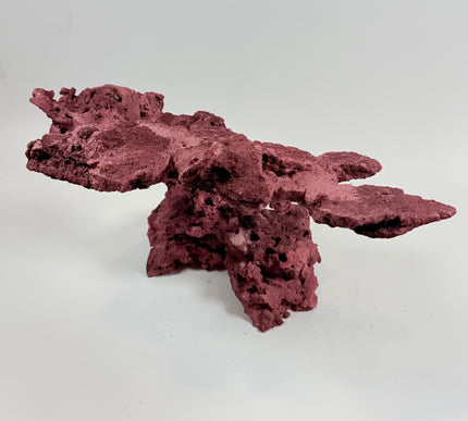 WYSIWYG Coraline Reef Rock #21