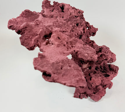 WYSIWYG Coraline Reef Rock #21