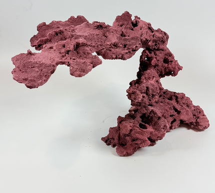 WYSIWYG Coraline Reef Rock #21