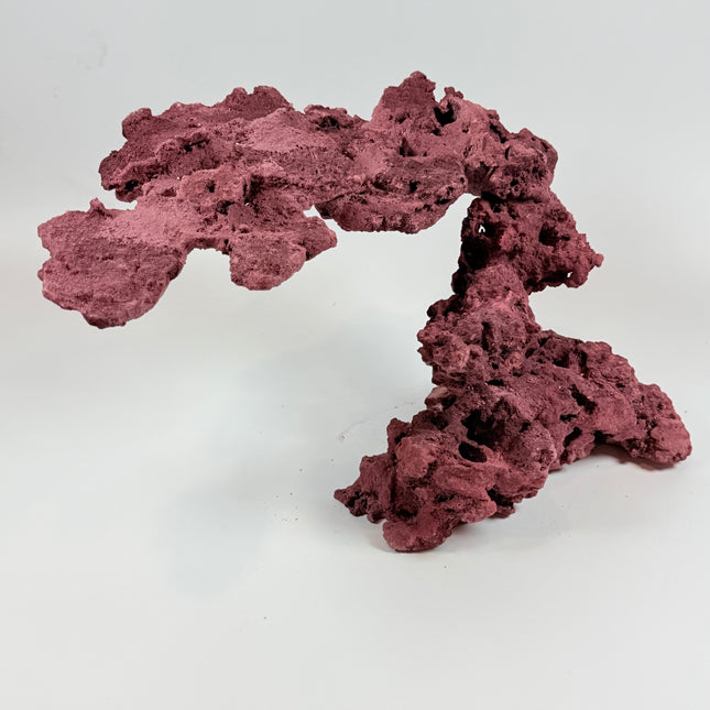 WYSIWYG Coraline Reef Rock #21