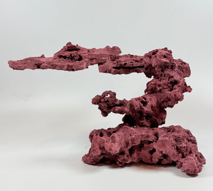 WYSIWYG Coraline Reef Rock #21