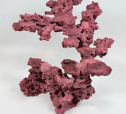 WYSIWYG Coraline Reef Rock #22