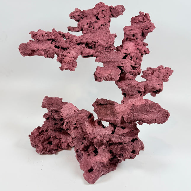 WYSIWYG Coraline Reef Rock #22