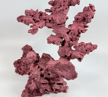 WYSIWYG Coraline Reef Rock #22