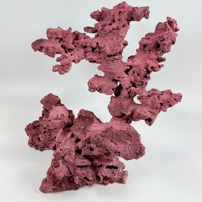 WYSIWYG Coraline Reef Rock #22