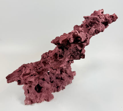 WYSIWYG Coraline Reef Rock #22