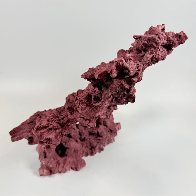 WYSIWYG Coraline Reef Rock #22