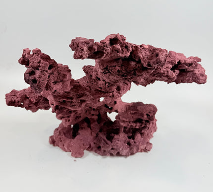 WYSIWYG Coraline Reef Rock #22