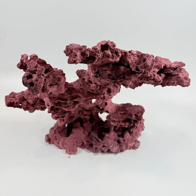 WYSIWYG Coraline Reef Rock #22