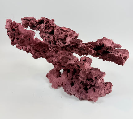 WYSIWYG Coraline Reef Rock #22