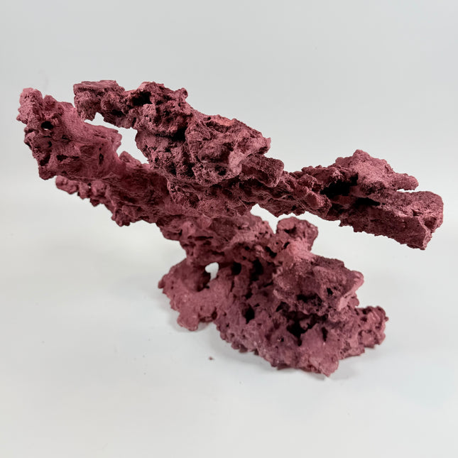 WYSIWYG Coraline Reef Rock #22