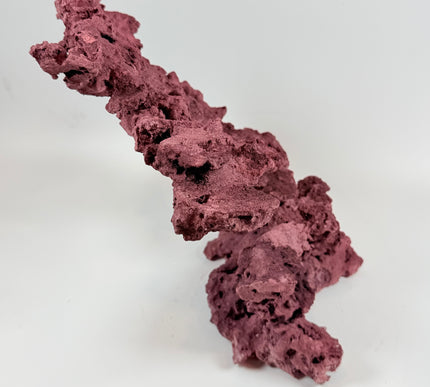 WYSIWYG Coraline Reef Rock #22