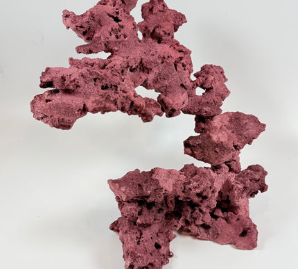 WYSIWYG Coraline Reef Rock #22