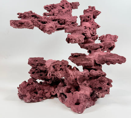 WYSIWYG Coraline Reef Rock #22