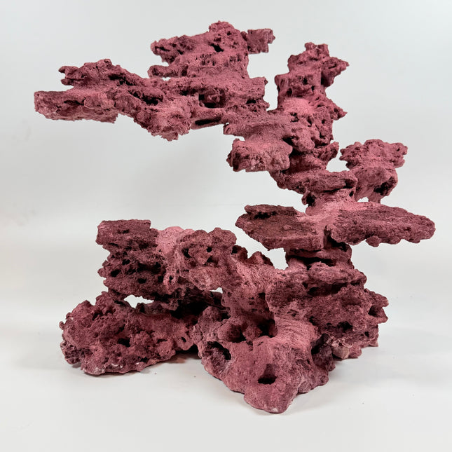 WYSIWYG Coraline Reef Rock #22
