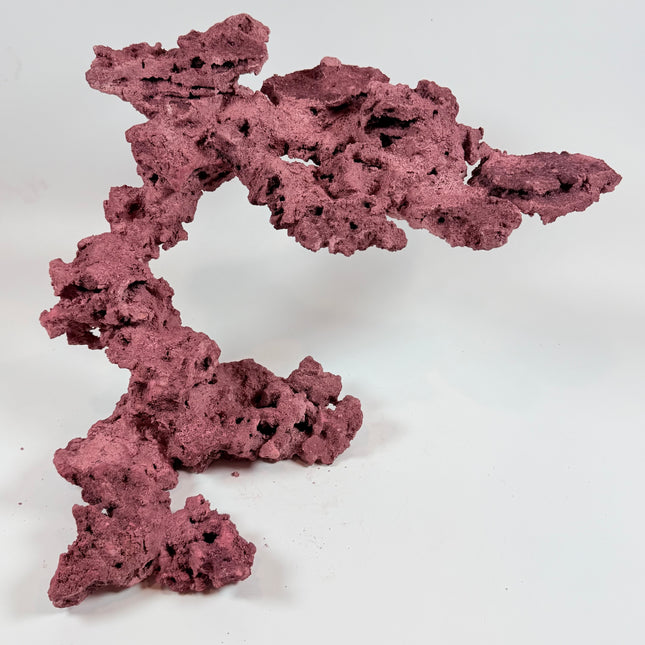 WYSIWYG Coraline Reef Rock #23