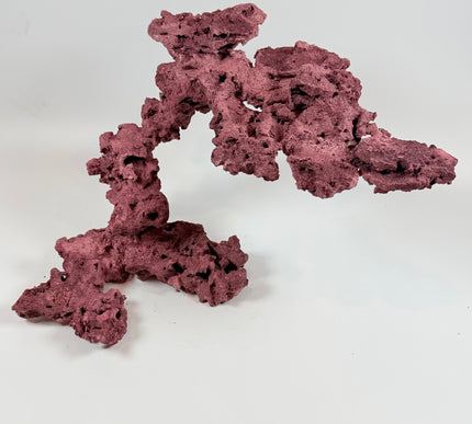 WYSIWYG Coraline Reef Rock #23