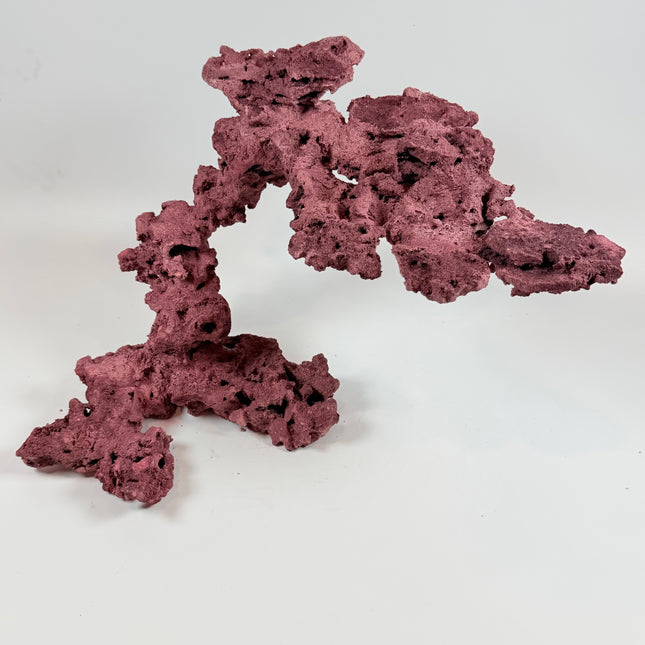 WYSIWYG Coraline Reef Rock #23
