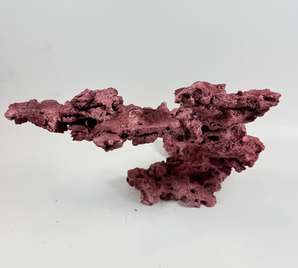 WYSIWYG Coraline Reef Rock #23