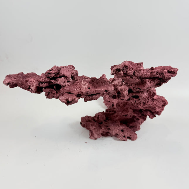 WYSIWYG Coraline Reef Rock #23