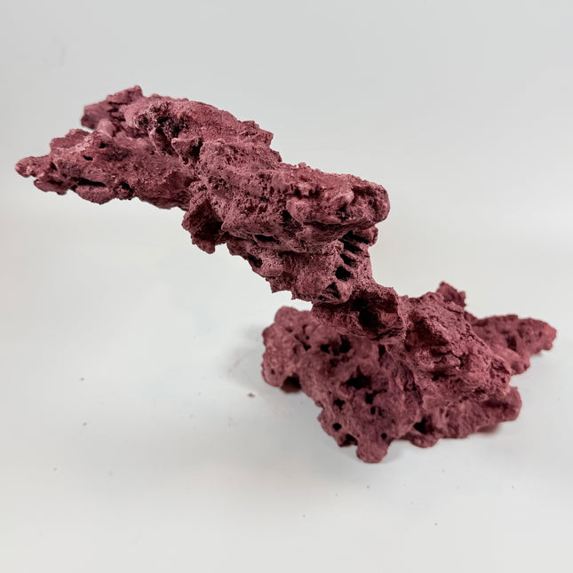 WYSIWYG Coraline Reef Rock #23
