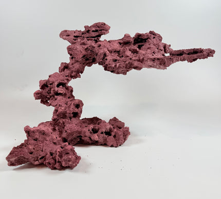 WYSIWYG Coraline Reef Rock #23