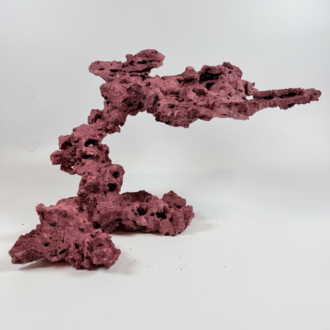 WYSIWYG Coraline Reef Rock #23