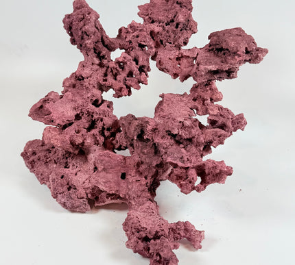 WYSIWYG Coraline Reef Rock #24