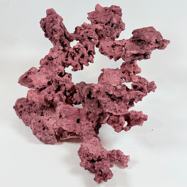 WYSIWYG Coraline Reef Rock #24