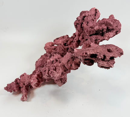 WYSIWYG Coraline Reef Rock #24