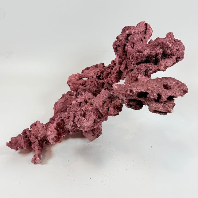 WYSIWYG Coraline Reef Rock #24