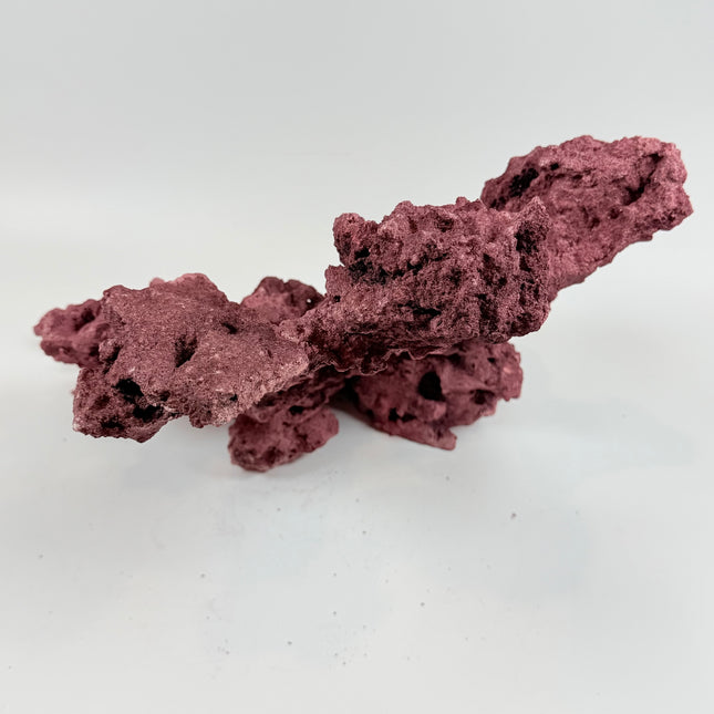 WYSIWYG Coraline Reef Rock #24