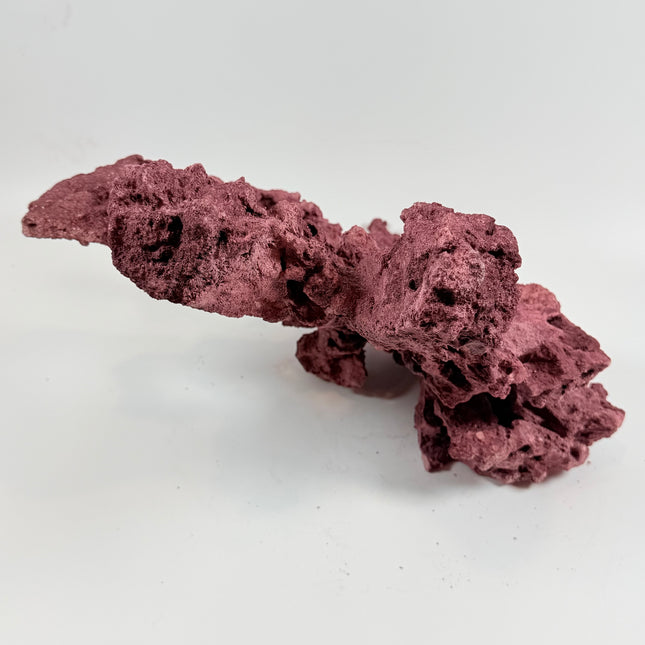 WYSIWYG Coraline Reef Rock #24