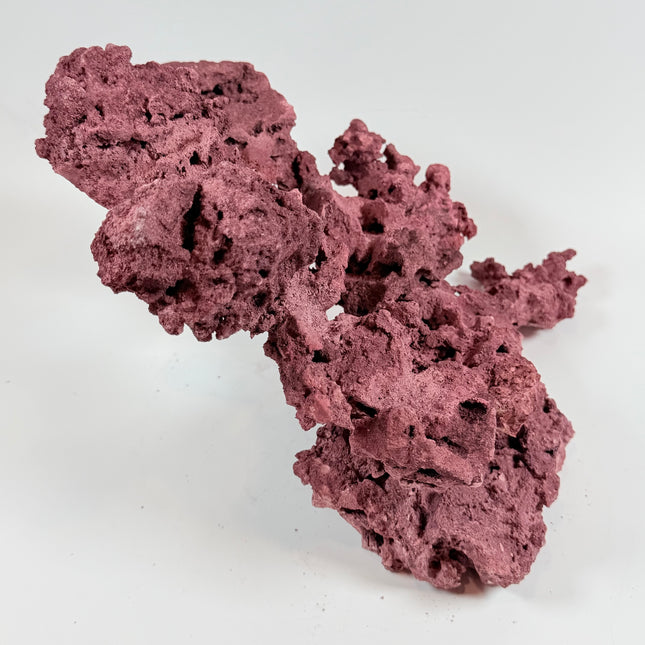 WYSIWYG Coraline Reef Rock #24