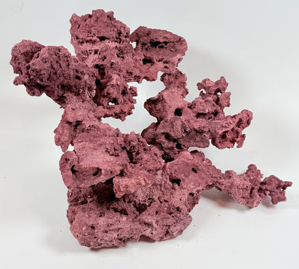 WYSIWYG Coraline Reef Rock #24