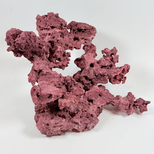 WYSIWYG Coraline Reef Rock #24
