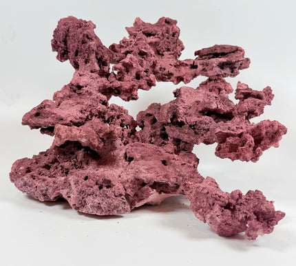 WYSIWYG Coraline Reef Rock #24