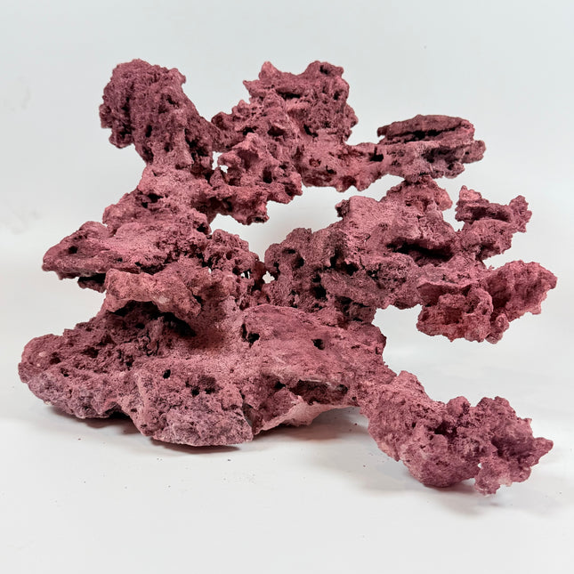 WYSIWYG Coraline Reef Rock #24
