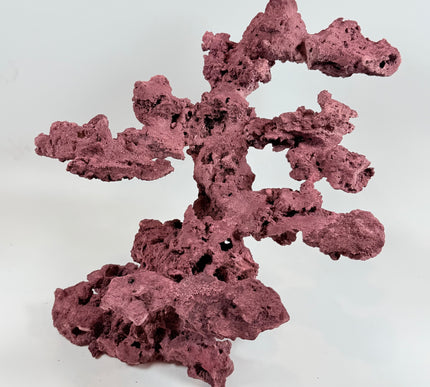 WYSIWYG Coraline Reef Rock #25