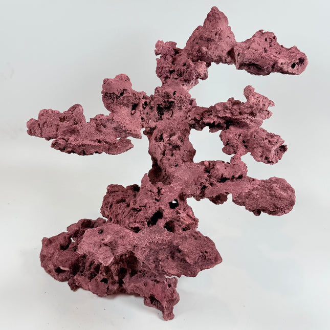 WYSIWYG Coraline Reef Rock #25